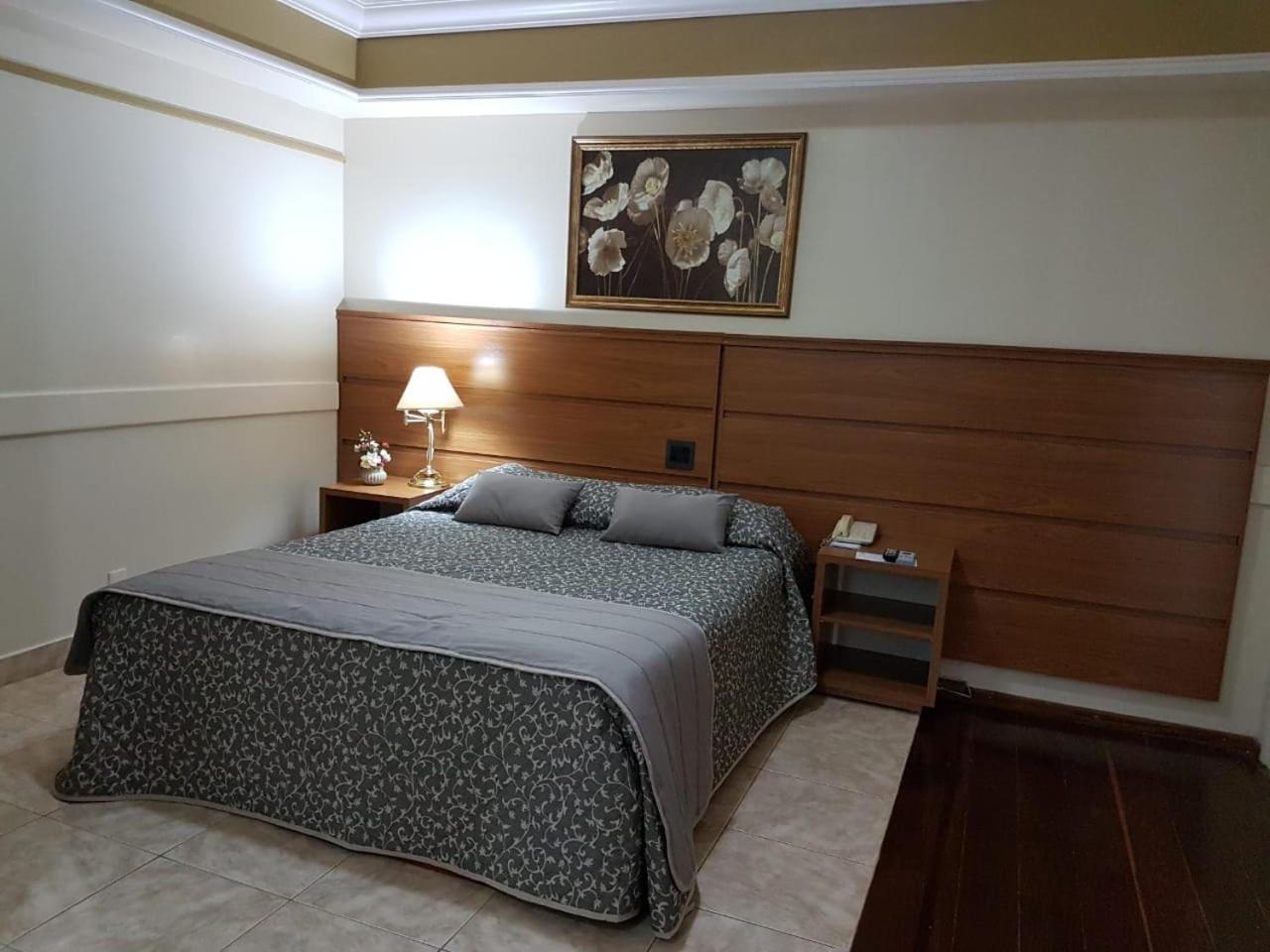 Tamareiras Park Hotel Uberaba Bagian luar foto
